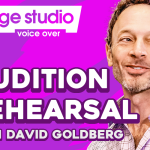 <strong><span style>VO Audition Rehearsal Sessions, with David Goldberg</span></strong>